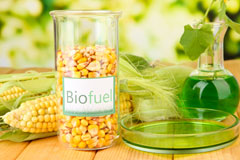 Pontcanna biofuel availability