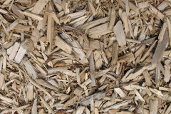 biomass boilers Pontcanna