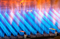 Pontcanna gas fired boilers